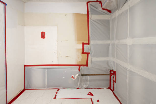 Best Mold Odor Removal Services  in Indian Trail, NC