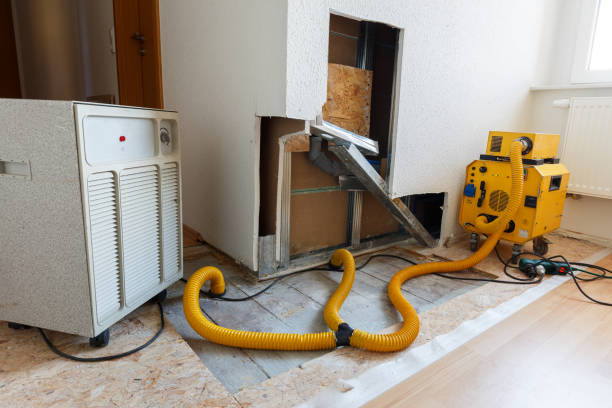 Mold Documentation for Insurance Claims in Indian Trail, NC