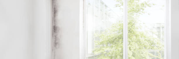 Best HVAC Mold Inspection and Cleaning  in Indian Trail, NC